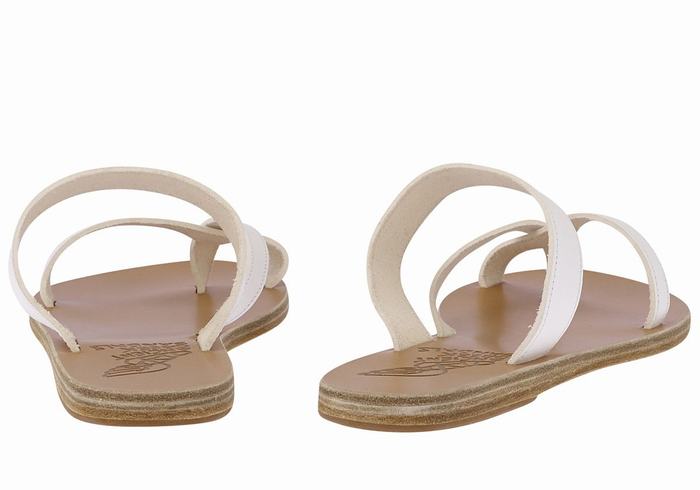 Ancient Greek Sandals Daphnae Leather Women Slide Sandals White | VMD6068PP