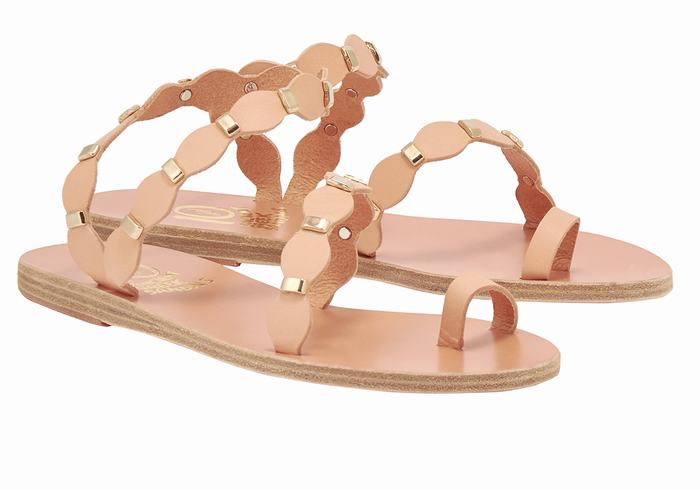 Ancient Greek Sandals Dauxerre Women Toe-Post Sandals Beige Gold | XYY5676TD