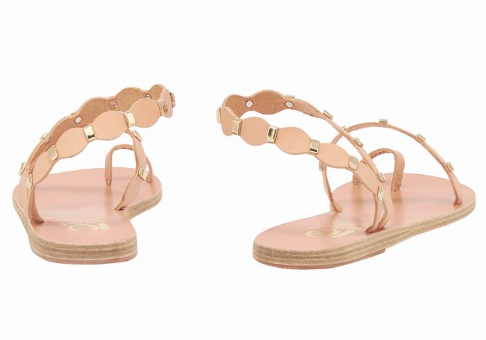 Ancient Greek Sandals Dauxerre Women Toe-Post Sandals Beige Gold | XYY5676TD