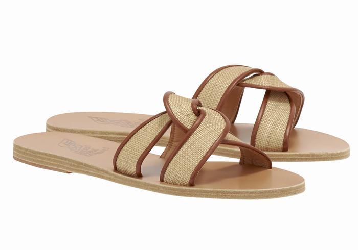 Ancient Greek Sandals Desmos Women Slide Sandals Beige Brown | GFZ5495NN