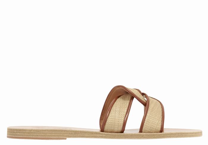 Ancient Greek Sandals Desmos Women Slide Sandals Beige Brown | GFZ5495NN