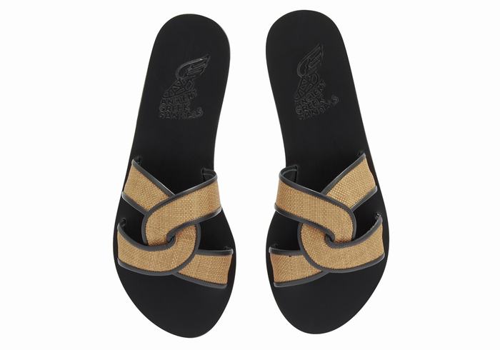 Ancient Greek Sandals Desmos Women Slide Sandals Brown Black | ZTZ27FO