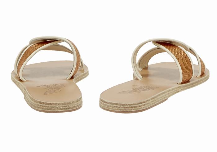 Ancient Greek Sandals Desmos Women Slide Sandals Brown White | PPM4058LY