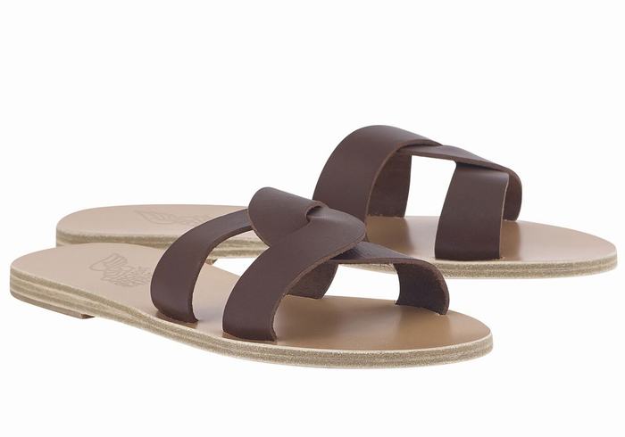 Ancient Greek Sandals Desmos Women Slide Sandals Coffee | DMR416VT