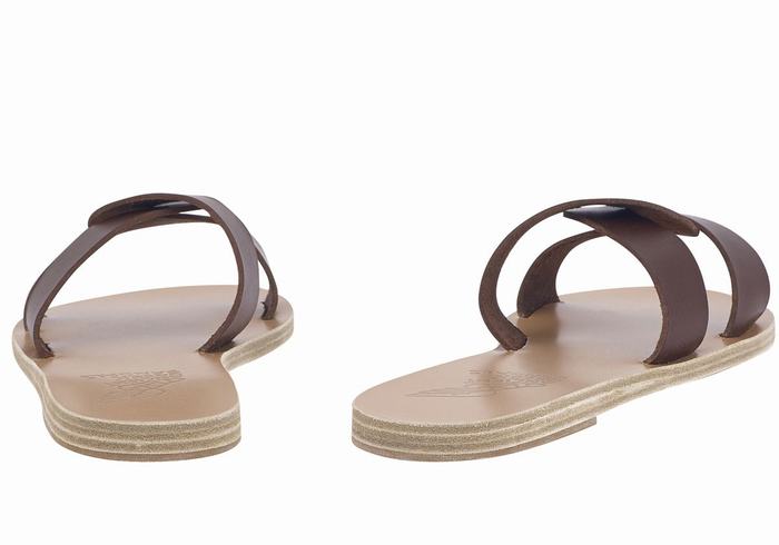 Ancient Greek Sandals Desmos Women Slide Sandals Coffee | DMR416VT