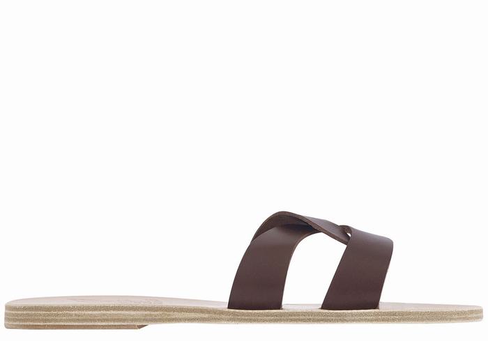 Ancient Greek Sandals Desmos Women Slide Sandals Coffee | DMR416VT