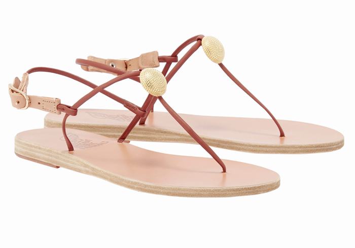 Ancient Greek Sandals Dimitra Flip Flop Women Back-Strap Sandals Red | IBX33100FW