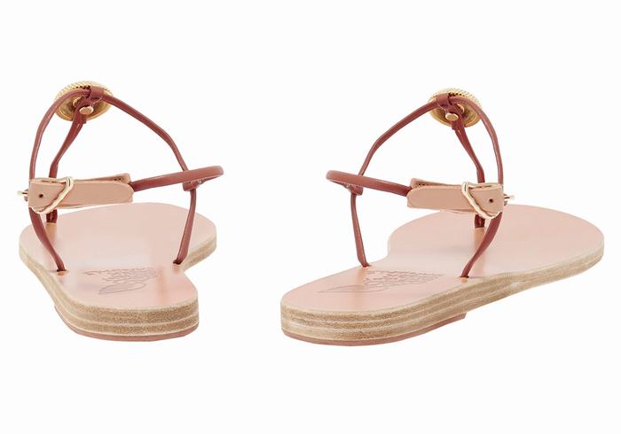 Ancient Greek Sandals Dimitra Flip Flop Women Back-Strap Sandals Red | IBX33100FW