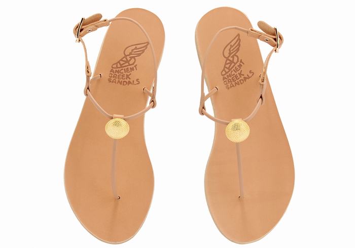 Ancient Greek Sandals Dimitra Flip Flop Women Back-Strap Sandals Beige | JZT2386RA