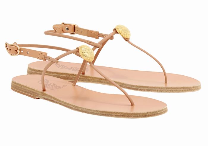 Ancient Greek Sandals Dimitra Flip Flop Women Back-Strap Sandals Beige | JZT2386RA