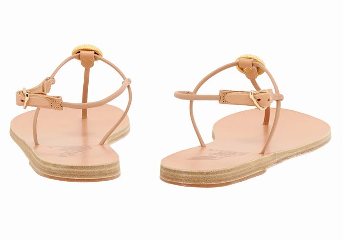 Ancient Greek Sandals Dimitra Flip Flop Women Back-Strap Sandals Beige | JZT2386RA