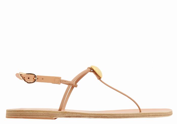 Ancient Greek Sandals Dimitra Flip Flop Women Back-Strap Sandals Beige | JZT2386RA