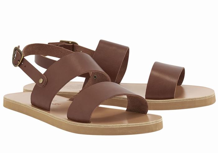 Ancient Greek Sandals Dinatos Men Casual Sandals Coffee | IED877XK