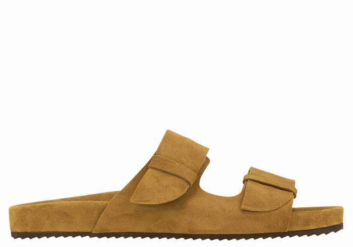 Ancient Greek Sandals Diogenis Men Slippers Brown | LVT3824PU