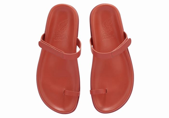 Ancient Greek Sandals Dokos Women Toe-Post Sandals Red | QNH7284BN