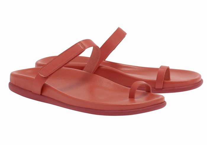 Ancient Greek Sandals Dokos Women Toe-Post Sandals Red | QNH7284BN