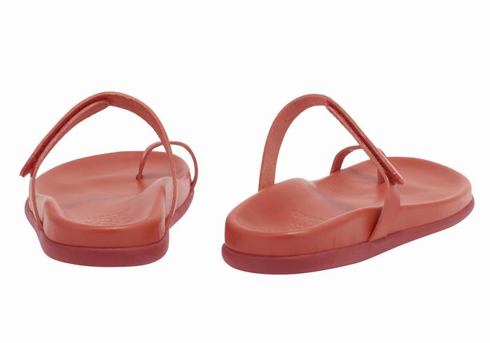 Ancient Greek Sandals Dokos Women Toe-Post Sandals Red | QNH7284BN