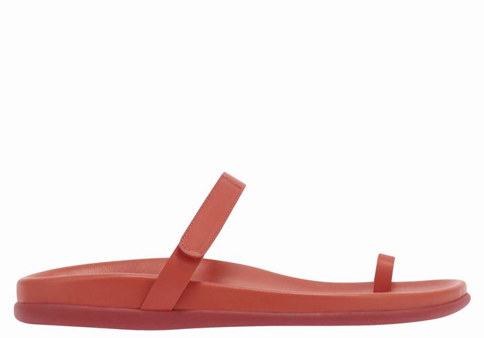 Ancient Greek Sandals Dokos Women Toe-Post Sandals Red | QNH7284BN