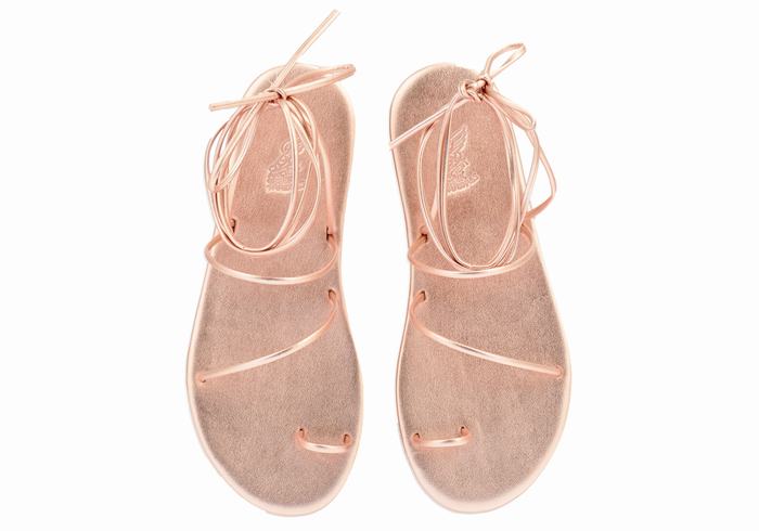 Ancient Greek Sandals Du Women Toe-Post Sandals Rose Gold | OYL2691DV