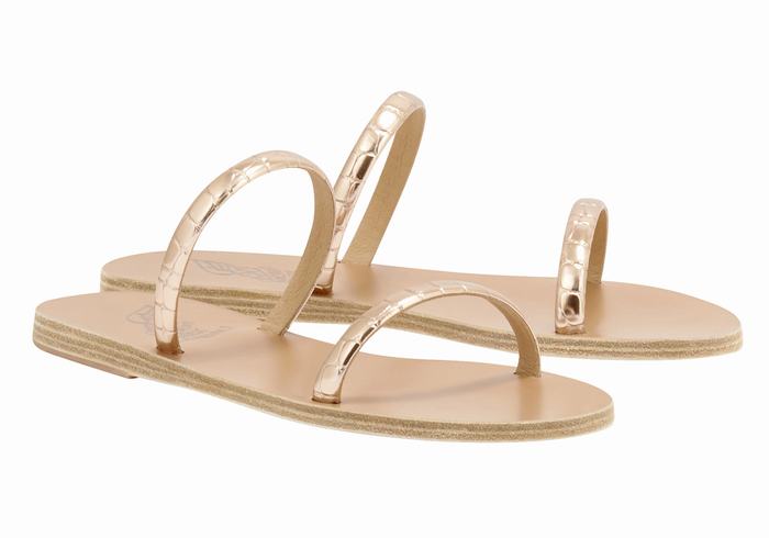 Ancient Greek Sandals Echidna Women Slide Sandals Rose Gold | KFY99VP