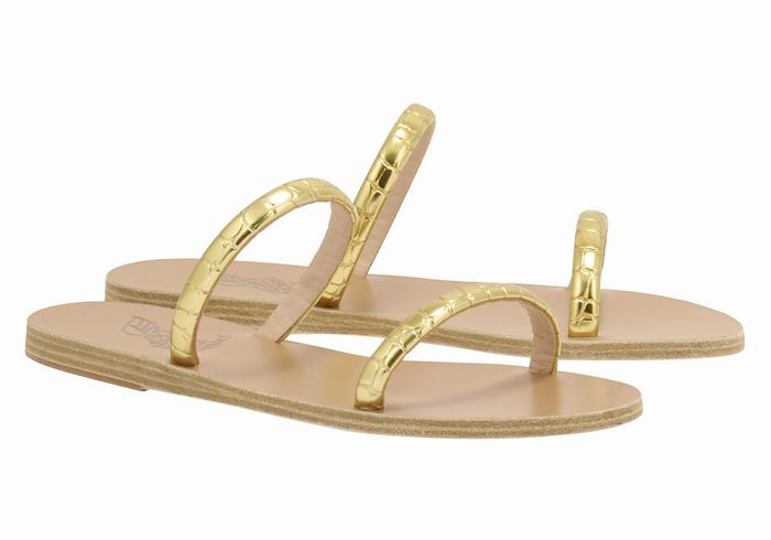 Ancient Greek Sandals Echidna Women Slide Sandals Gold | ZFX82LE