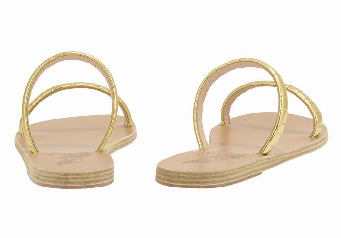 Ancient Greek Sandals Echidna Women Slide Sandals Gold | ZFX82LE