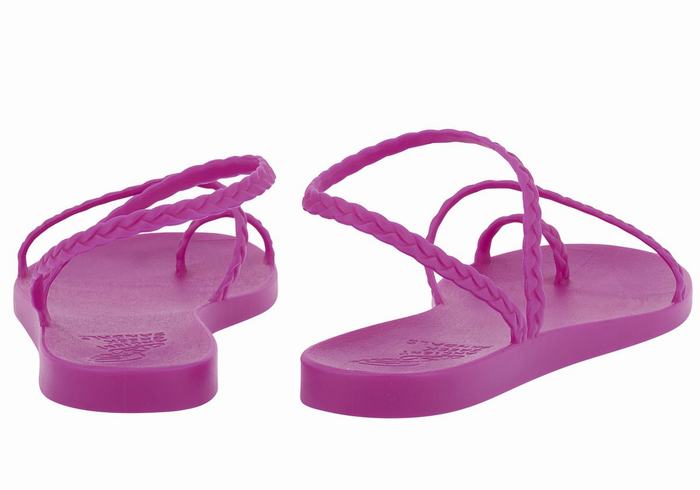 Ancient Greek Sandals Eleftheria Women Braided Sandals Purple | FYY6214FX