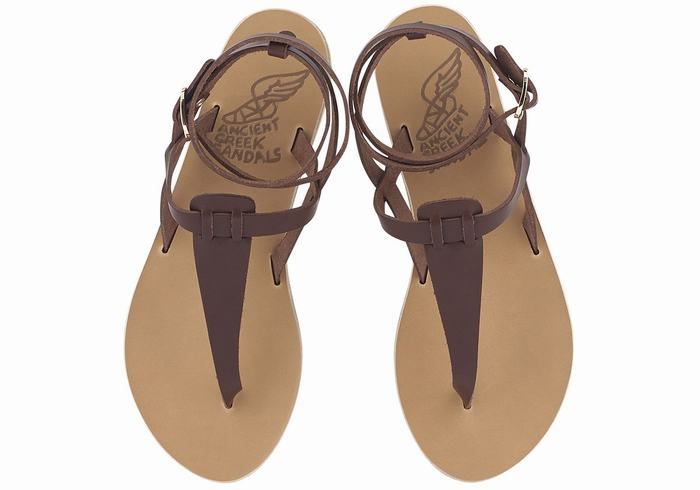 Ancient Greek Sandals Estia Leather Women Ankle Strap Sandals Coffee | ZHZ3518ER