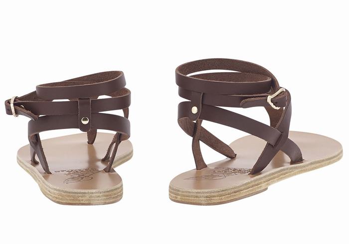 Ancient Greek Sandals Estia Leather Women Ankle Strap Sandals Coffee | ZHZ3518ER