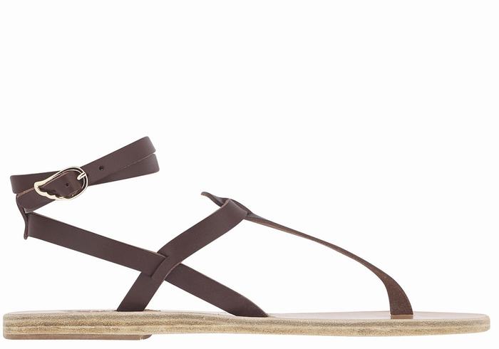 Ancient Greek Sandals Estia Leather Women Ankle Strap Sandals Coffee | ZHZ3518ER