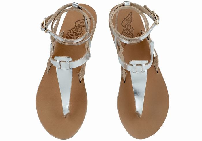 Ancient Greek Sandals Estia Leather Women Ankle Strap Sandals Silver | TYQ764II