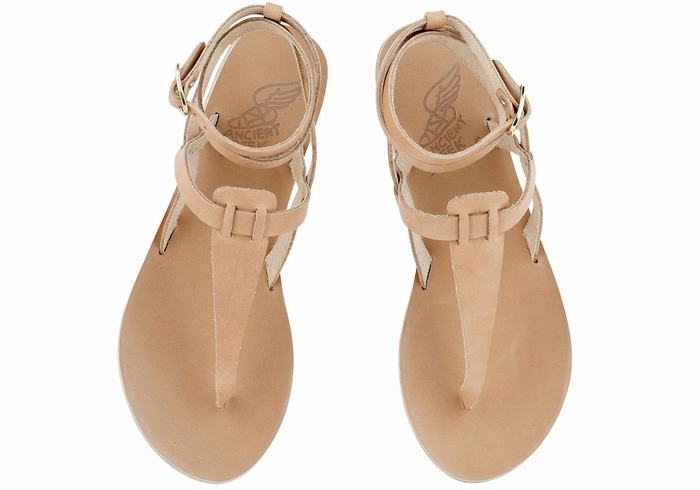 Ancient Greek Sandals Estia Leather Women Ankle Strap Sandals Beige | COC331AJ