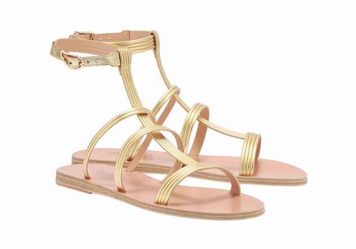 Ancient Greek Sandals Frigia Women Ankle Strap Sandals Gold | YAR1398DB