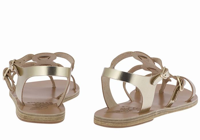 Ancient Greek Sandals Grace Kelly Leather Women Casual Sandals Gold White | PLC1722OS