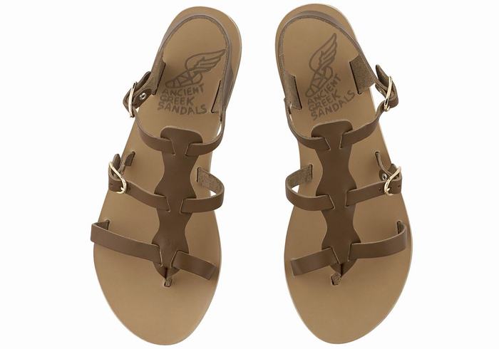 Ancient Greek Sandals Grace Kelly Leather Women Casual Sandals Dark Brown | OEQ2881SJ