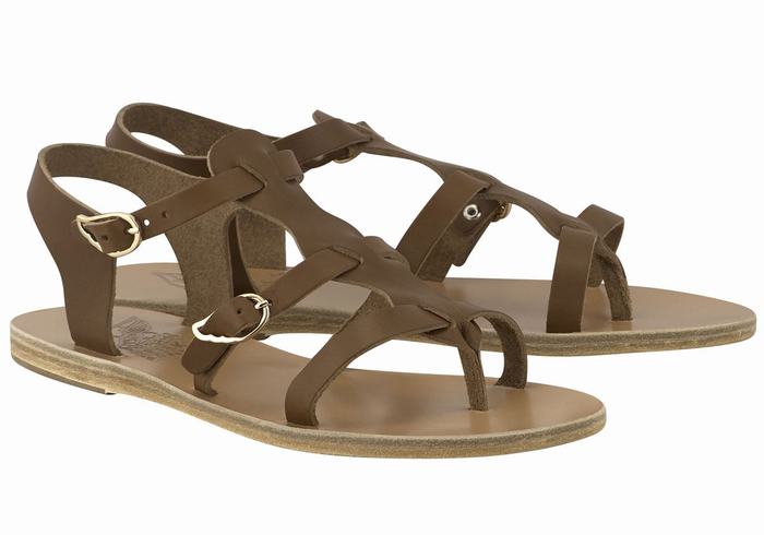 Ancient Greek Sandals Grace Kelly Leather Women Casual Sandals Dark Brown | OEQ2881SJ