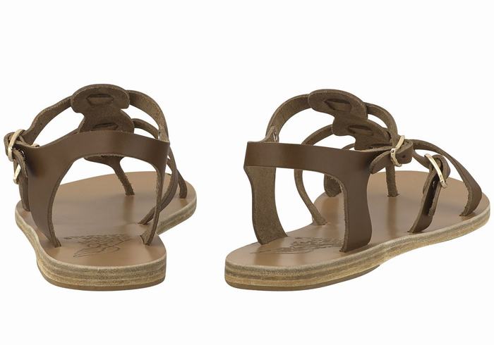 Ancient Greek Sandals Grace Kelly Leather Women Casual Sandals Dark Brown | OEQ2881SJ