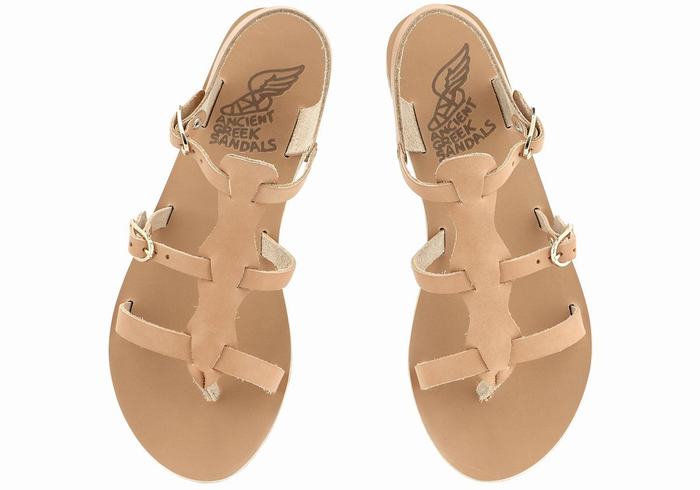 Ancient Greek Sandals Grace Kelly Leather Women Casual Sandals Beige | WDO1006JG