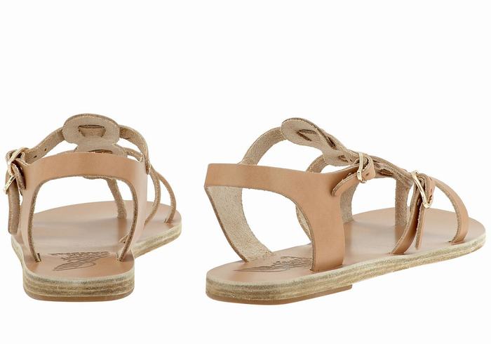 Ancient Greek Sandals Grace Kelly Leather Women Casual Sandals Beige | WDO1006JG