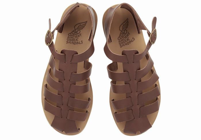 Ancient Greek Sandals Homer Leather Men Fisherman Sandals Coffee | XGD5770QY