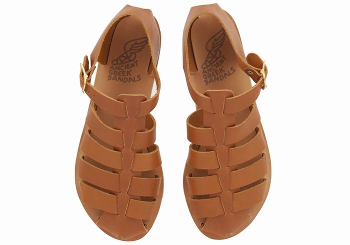 Ancient Greek Sandals Homeria Leather Women Fisherman Sandals Dark Brown | DIX5047NG