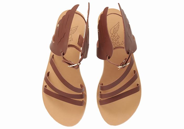 Ancient Greek Sandals Ikaria Leather Women Ankle Strap Sandals Coffee | LAE2114HK