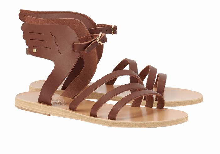 Ancient Greek Sandals Ikaria Leather Women Ankle Strap Sandals Coffee | LAE2114HK