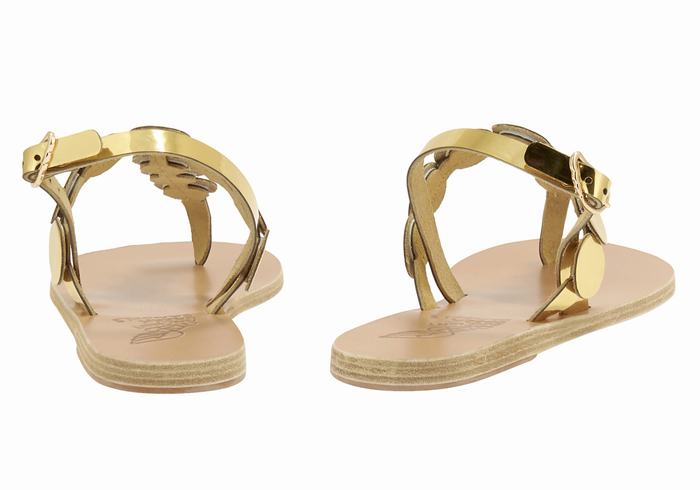 Ancient Greek Sandals Ilios Flip Flop Leather Women Back-Strap Sandals Gold | IJX156UN