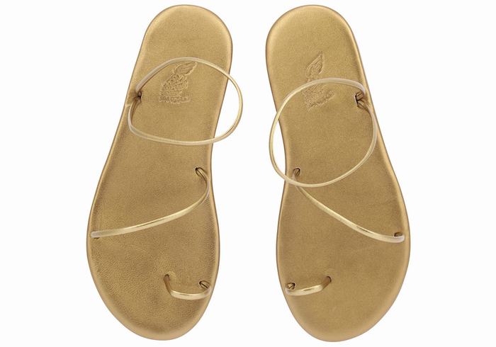 Ancient Greek Sandals Kansiz Women Toe-Post Sandals Gold Brown | WBV8463HQ