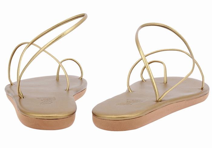 Ancient Greek Sandals Kansiz Women Toe-Post Sandals Gold Brown | WBV8463HQ