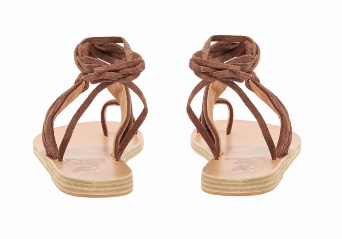 Ancient Greek Sandals Kerasia Women Gladiator Sandals Coffee | RNH347XB