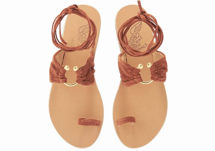 Ancient Greek Sandals Kerasia Women Gladiator Sandals Coffee | PAN8760RX