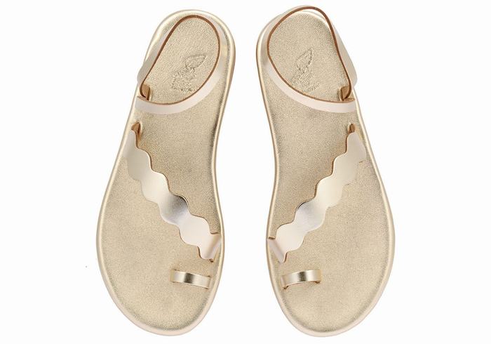 Ancient Greek Sandals Koralia Women Toe-Post Sandals Gold White | YAA6672ES