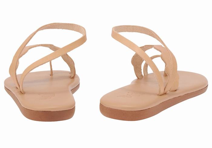 Ancient Greek Sandals Koralia Women Toe-Post Sandals Beige | IVY7491NN